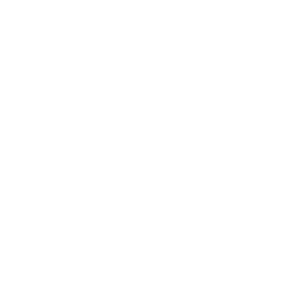 Homeowners icon