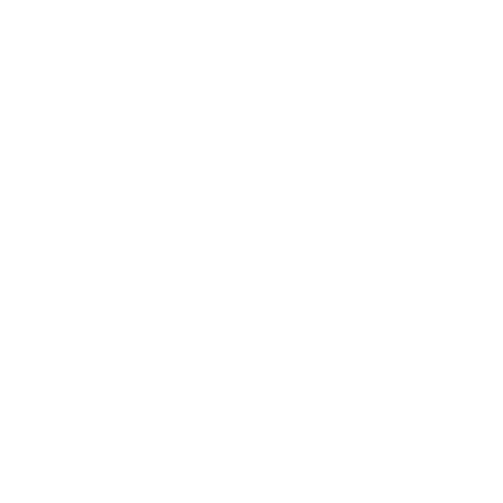 Property and estate managers icon